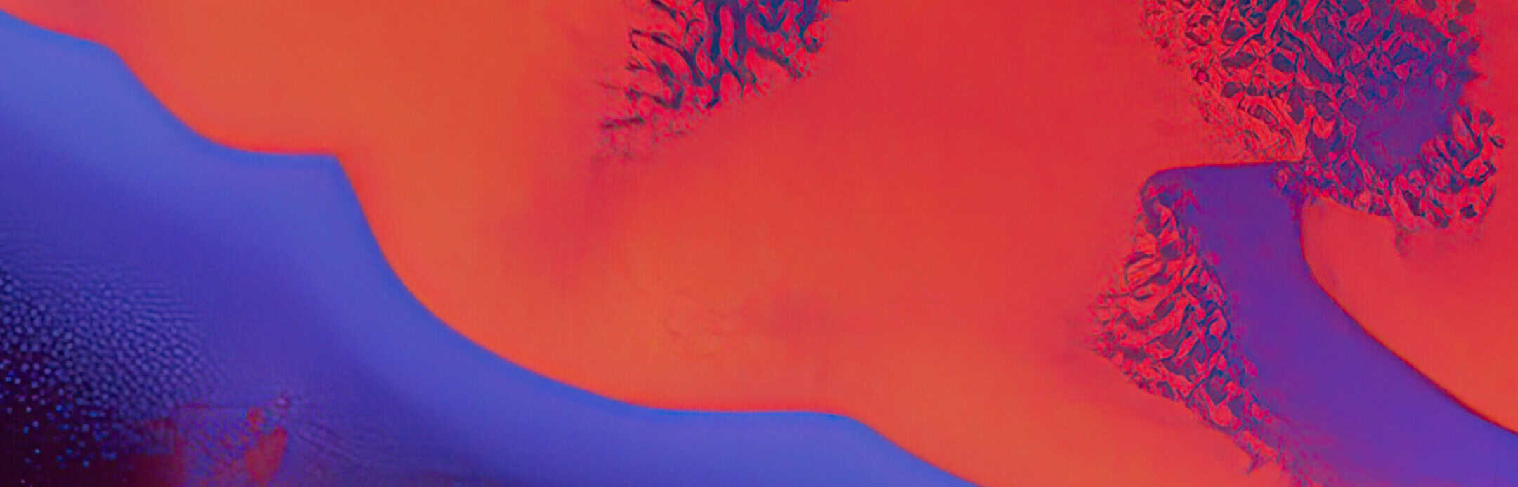 imagen decorativa para cabecera